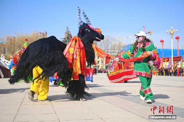 图为斗耕牛表演。中新社记者 李亚龙 摄