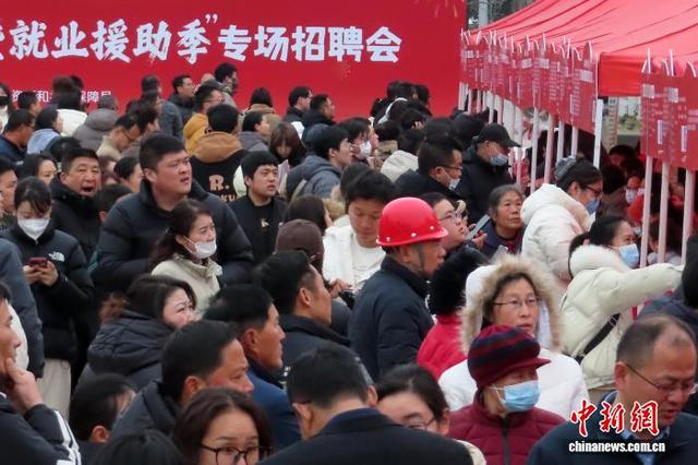2月25日，江苏南京，应聘者在招聘摊位前查看招聘信息。中新社记者 泱波 摄