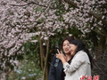 （新春走基层）贵州贵阳：春花“争艳” 游人乐享春光