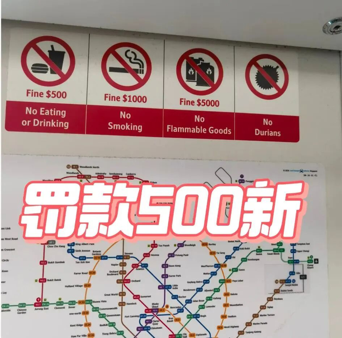 图源：网络
