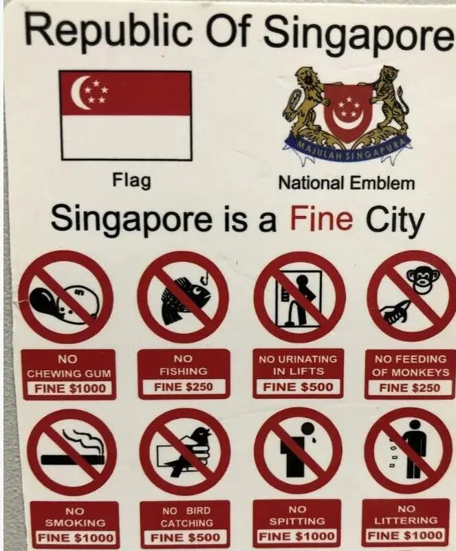 图源：网络