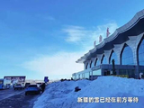 丁程鑫阿勒泰vlog雪原奔跑追狐狸