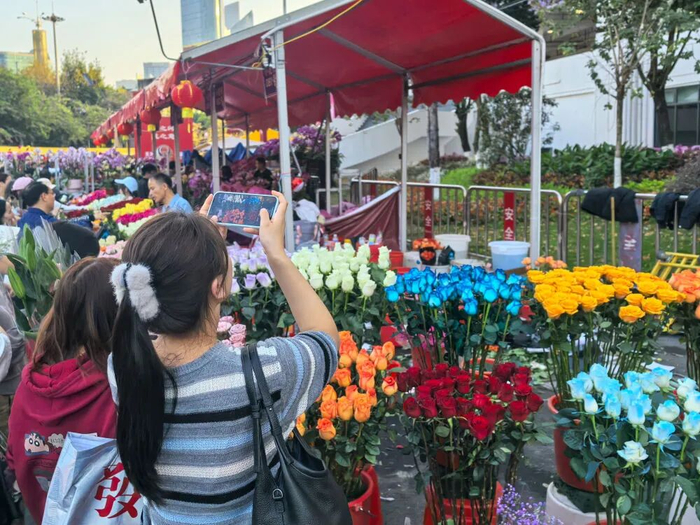 2月16日，在广东省广州市，一名游人在迎春花市上拍照。新华社记者 林昊 摄