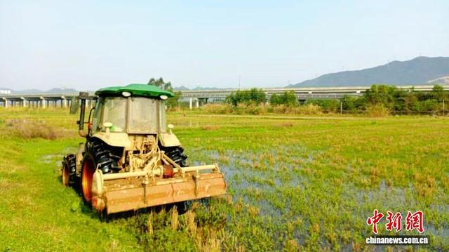 春耕现场。 清新区委宣传部 供图