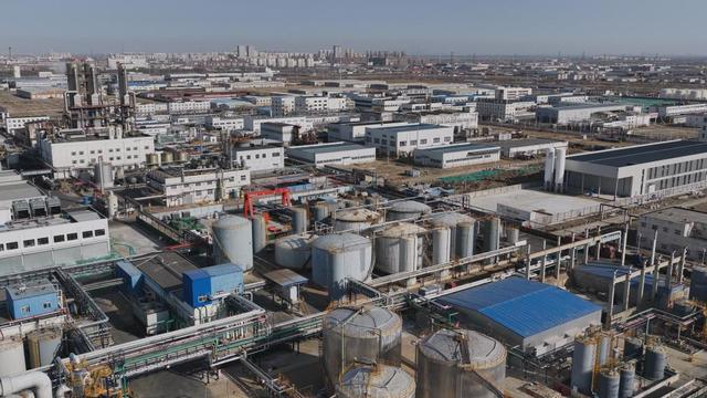 图为今年2月拍摄的大港石化产业园区一景。新华社发