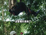 王一博都闯雨林、攀岩了，这次真是无妄之灾