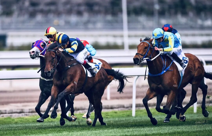 资料图 信息时报记者 邹甜 摄