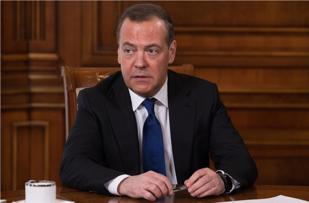 梅德韦杰夫 资料图。图源：环球网