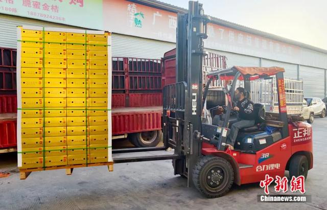 图为工人正将一箱箱融安金桔搬运装车。陈梅 摄