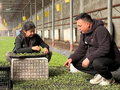 人大代表进棚传技 助力育苗提质增效