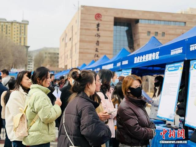 图为求职者现场了解岗位情况。孙睿 摄