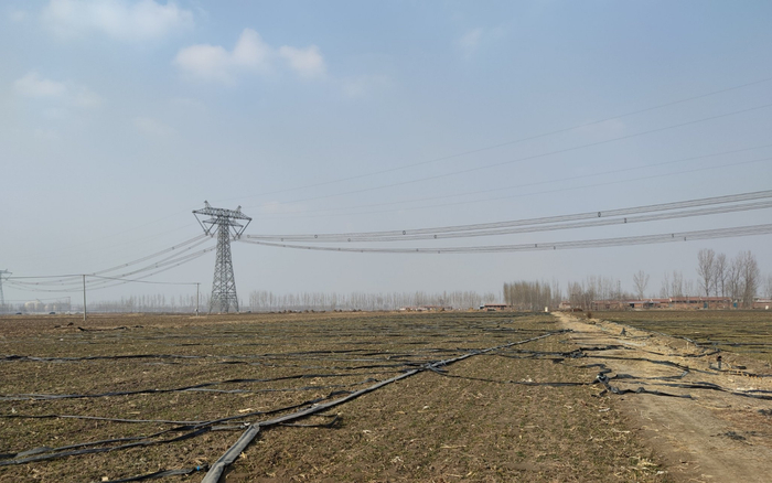 老安的地。 新京报记者 赵敏 摄