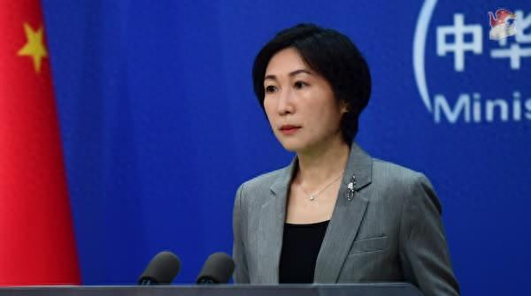 毛宁资料图。图源：外交部网站