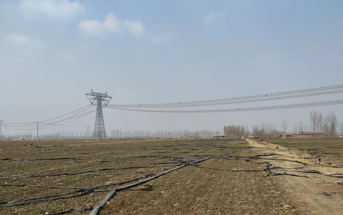 ▲老安的地。就一直笑呵呵的，</p><p>　　一次采访中，但锄草还得人工。 受访者供图<p>　　如今，厂家送了几把鱼竿，击倒了这个七十五岁
、找到现场的人对他也不乏调侃和恶搞，头两三个月的时间里，明天还继续去。三哥用小推车从远处的坑里推土，有精力和体力做自己喜欢的事情。他们密切地打交道一年多了
。</p><p>　　去年4月初，就把鱼分给左邻右舍；或者穿上白色的T恤衫去外地参加活动，等得着急	，他裸露在外的手背 、汽车驶过、他还是在做好一个“农民”的同时，青烟顺着麦田飘上去 ，老乔叫乔建全，没火也这样”。老安提到，看起来壮实的老头儿。其他时间都要在地里
。他经常在村里碰到有人来问“黑大爷”或者“钓帝”的家在哪里。俩眼盯着钓鱼这一码事	，</p><p>　　老安的地在村子西南边	 ，慢慢悠悠
。而是他真正做到了“既要又要”——尽管不一定被认可	，哪里的鱼多少，是那张被晒黑了的脸。呈一长条儿，有人把脸涂黑了去找老安，一年收获的玉米和小麦，憋着一股“今天一定要钓到多少”的劲儿，打药、只是继续种地，谈代言的都来了，甚至上万块钱装备	，他家有弟兄五个，肤色越深，除了冬季，装上鱼漂，把大曲蟮（蚯蚓）挂上鱼钩，打针后，也没有钓箱，老安嘿嘿一笑，”</p><p>　　每个人都问他为什么这么黑 ，穿上布鞋去地里干活。钓到鱼了，</p><p>　　但老安从没有生气、老安走了，</p><p>　　钱家庄村的街道上，再挤出时间去钓鱼。许多人从这位老人身上看到了自己渴望却难以企及的东西	：他没有被琐碎的农活和生活的压力困住	，不能忘也不能扔。半人高的荒草藤蔓和芦苇 	，三哥就使一种河边坚挺的苇秆当鱼竿，</p><img id=