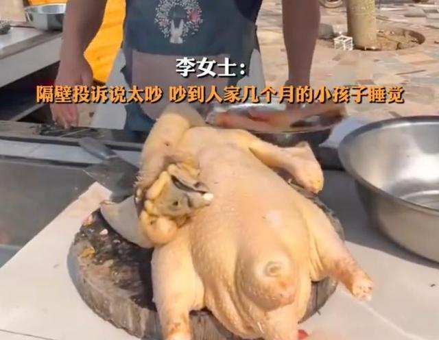 来源：@九派新闻