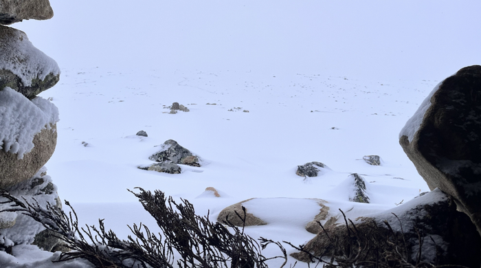 2月22日下午6时许，从石屋向外看去，积雪已经覆盖山上的岩石和草甸。受访者供图