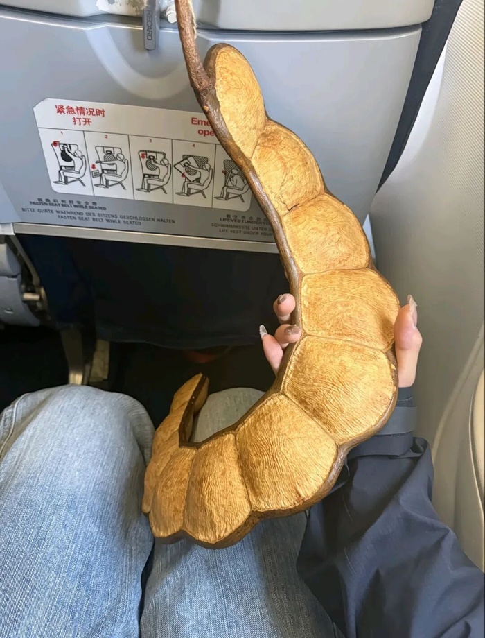 网友携带云南大豆荚坐飞机