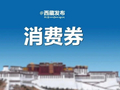 定好闹钟！拉萨消费券将开抢~加油、商超、餐饮……