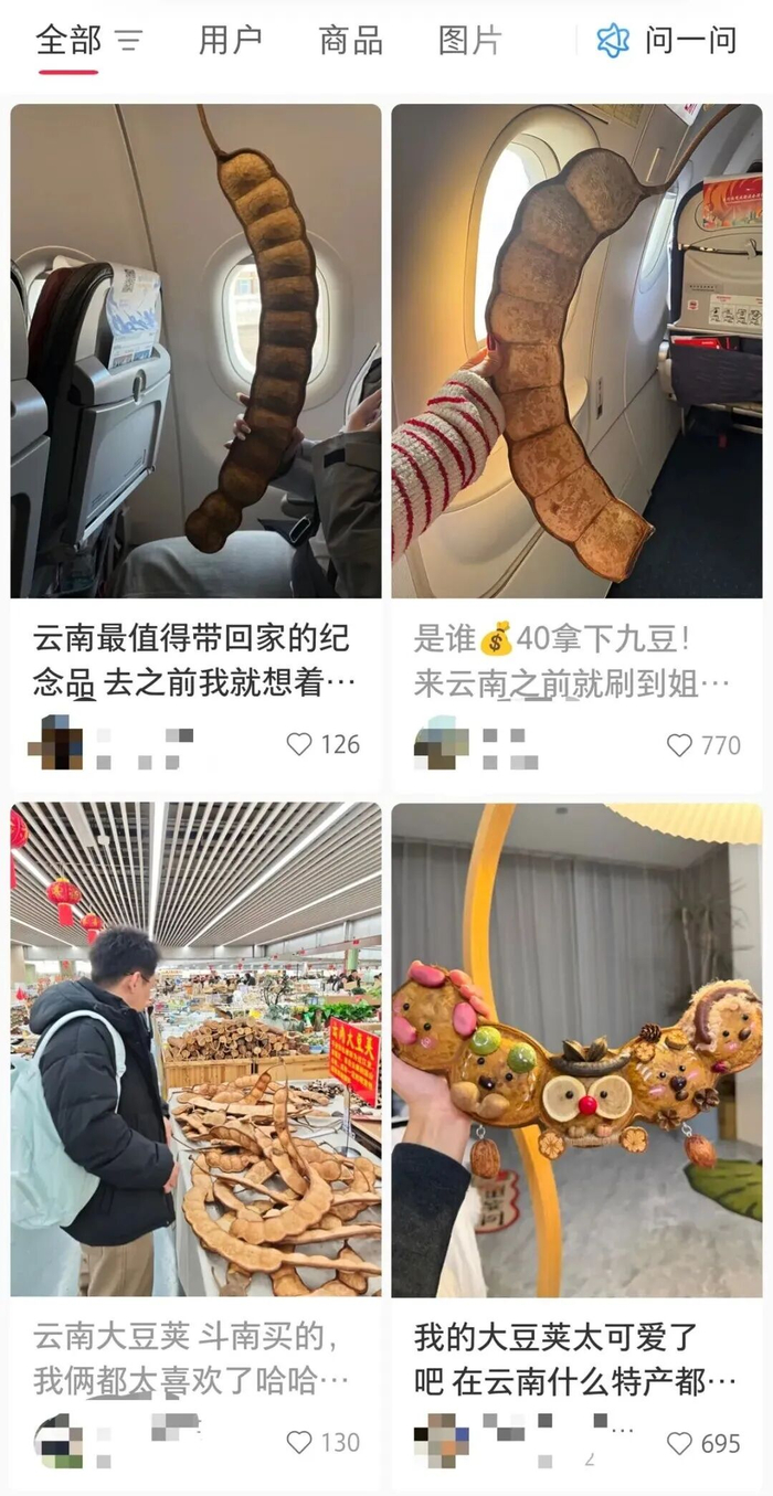 网友们带着云南大豆荚坐飞机