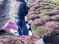 时尚博主分享躺入大理花田视频，被质疑或压坏鲜花、毁坏花田，工作室晒花絮图显示其躺在花丛空地，网友：论工作留痕的重要性