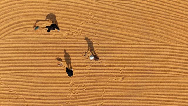 2025年10月28日，在山东省枣庄市市中区税郭镇，农民晾晒收获的玉米（无人机照片）。新华社发（孙中喆 摄）