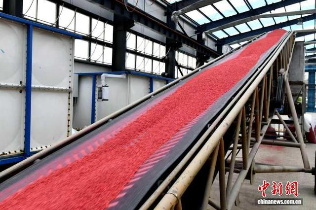 在梧桐河农场种子包衣车间里，工作人员正有序开展水稻种子包衣、灌袋、封口、转运、装箱等各项工作。安雪亮 摄