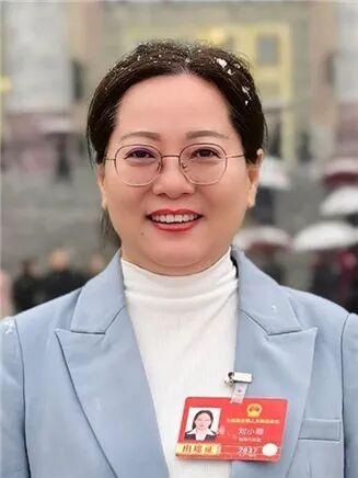 刘小蓉代表