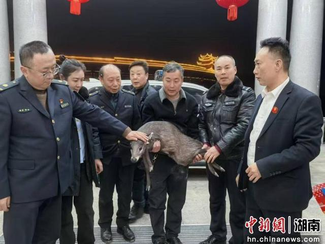 救助现场。湖南南山国家公园管理局供图