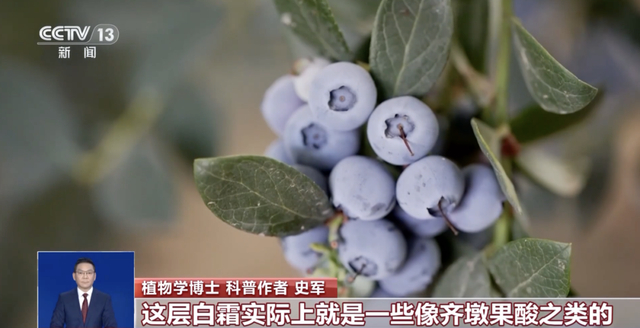 图源：央视新闻