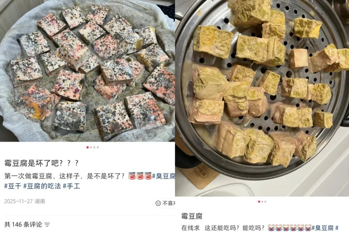 自制霉豆腐失败案例大赏丨小红书