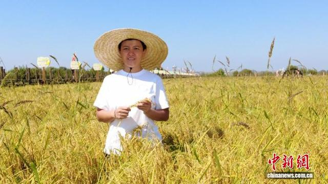 全国人大代表、宁安市渤海镇上官地村党支部书记、村委会主任陈雨佳在稻田中。 受访者供图