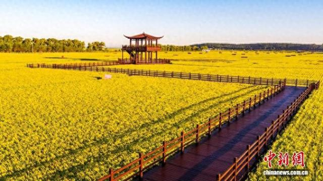 乔府大院生态体验区 受访者供图