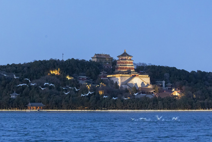 昆明湖化身“天鹅驿站”。颐和园供图