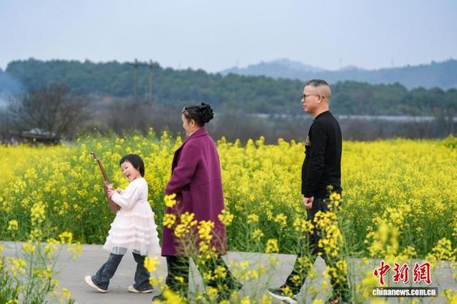 游客在油菜花田里游玩。贺玺 摄