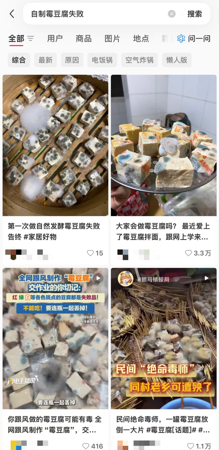 在小红书检索“自制霉豆腐失败”可以看到五花八门的“霉”豆腐 / 图源小红书检索