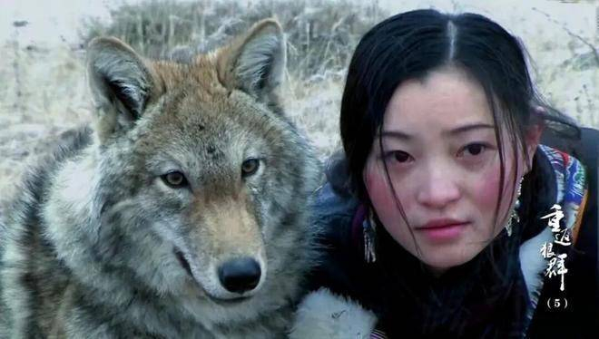 李微漪发亲笔手写长信泪痕明显回应《重返·狼群》重映争议|飞驰人生3|狼王|保护区|流量|格林_新浪娱乐_新浪新闻