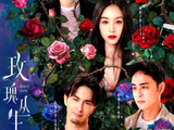 情感大剧玫瑰绽放今晚首播！王子文蒋欣再度联手，刘宇宁演绎绝佳伴侣