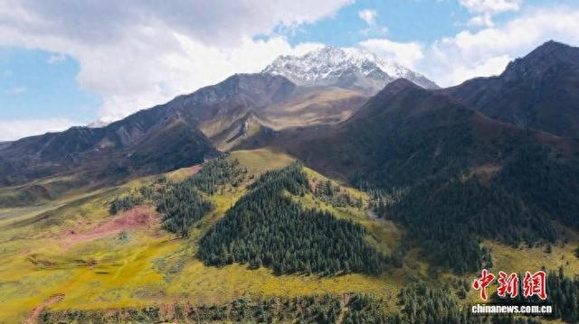 图为位于青海省玉树藏族自治州境内的昂赛大峡谷。李江宁 摄