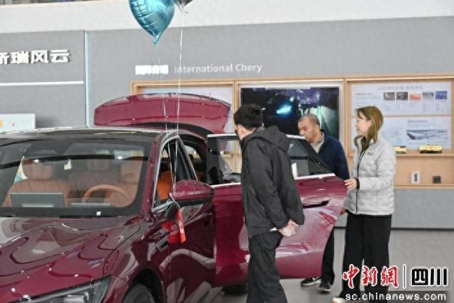 市民挑选汽车。郑栋梁 摄