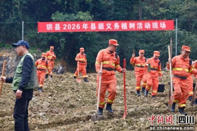 积极参与植树现场。高巧 摄