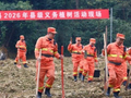 珙县：7.8万人积极植树 添31万株“新绿”