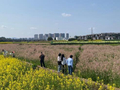 泸州泸县：锦绣花开春意浓 安逸田园入画来