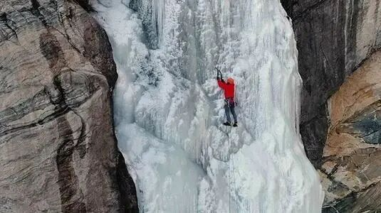 图片来源于网络