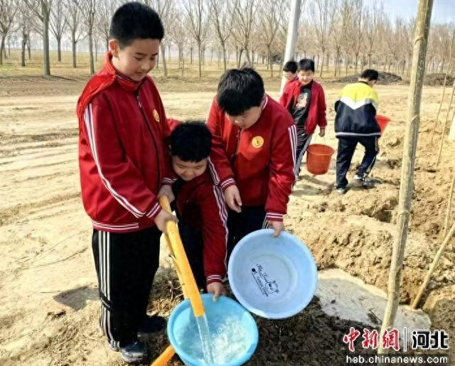 图为泊头市郝村小学学生为树木浇水。 张桂艳 摄