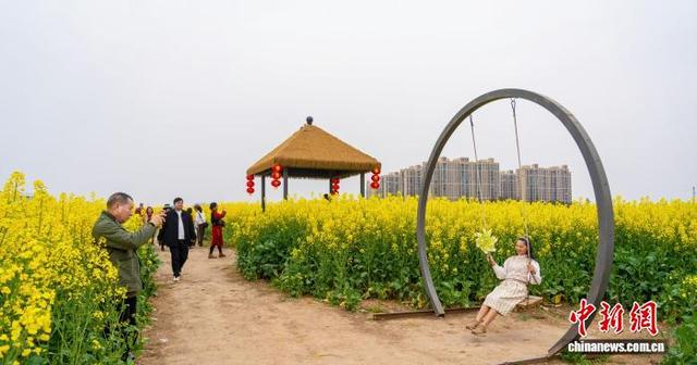 图为市民和游客在油菜花田踏青赏花。陈涛 摄