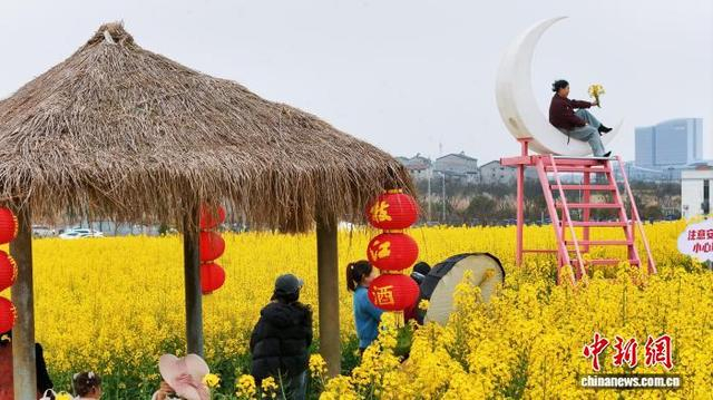 图为市民和游客在油菜花海打卡拍照。陈涛 摄