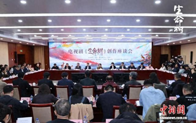 座谈会现场。主办方供图