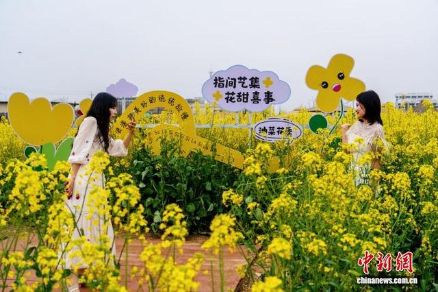 图为市民和游客在油菜花海打卡拍照。陈涛 摄