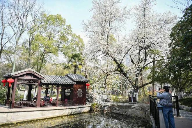 图源：“安徽第一城区包河区”微信号