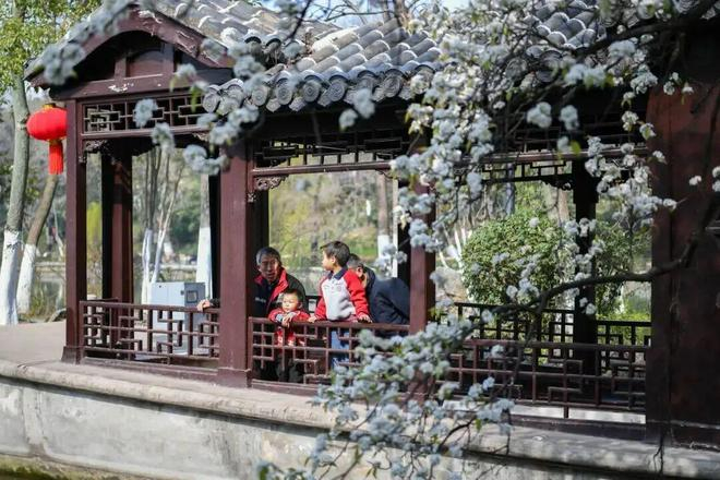 图源：“安徽第一城区包河区”微信号